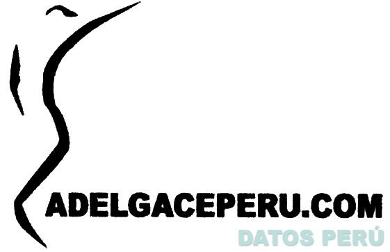 ADELGACEPERU.COM