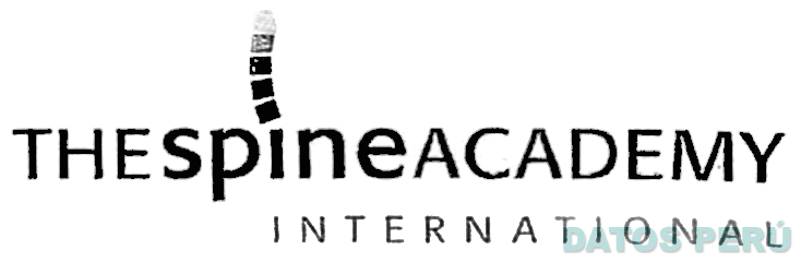 THE SPINE ACADEMY INTERNATIONAL