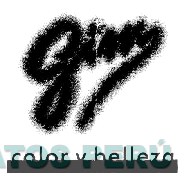 GIM COLOR Y BELLEZA