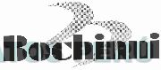 BOCHINNI