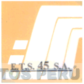 EMPRESA DE TRANSPORTES Y SERVICIOS 45 S.A.