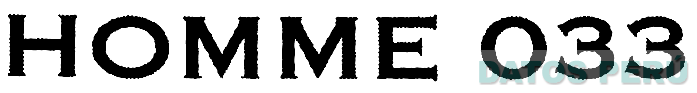 HOMME 033