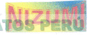 NIZUMI