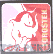 TOROSTEK