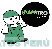 MAESTRO SOLUCION