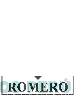 GRUPO ROMERO R