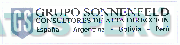 GS GRUPO SONNENFELD CONSULTORES DE ALTA DIRECCION
