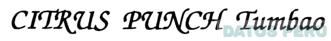 CITRUS PUNCH TUMBAO