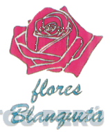 FLORES BLANQUITA