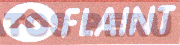 F FLAINT