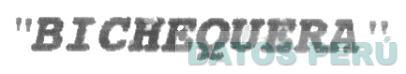 BICHEQUERA