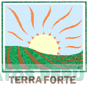 TERRAFORTE