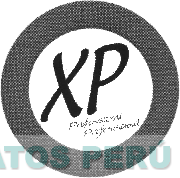 XP PROFESSIONAL PROFESSIONNEL