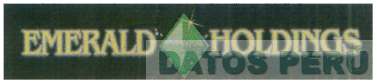 EMERALD HOLDINGS
