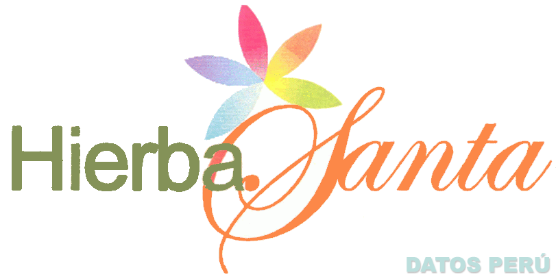 HIERBA SANTA