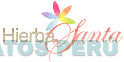 HIERBA SANTA