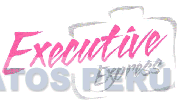 EXECUTIVE EXPRESS