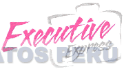 EXECUTIVE EXPRESS