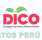 DICO LO MEJOR EN FRUTA SELECCIONADA
