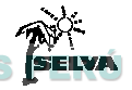 SELVA