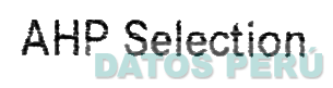 AHP SELECTION
