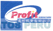 PROFIT CONSULTORES