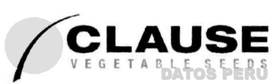CLAUSE VEGETABLE SEEDS