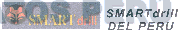 SMARTDRILL DEL PERU