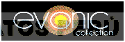 EVANIC COLLECTION