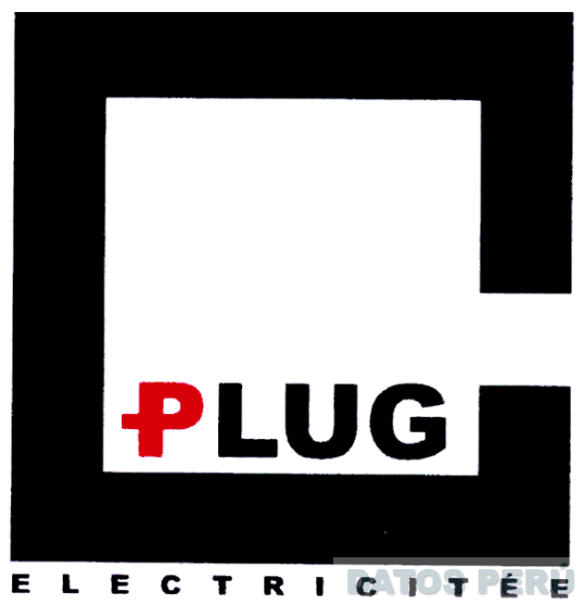 PLUG ELECTRICITEE