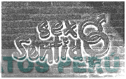 SEXO SENTIDO