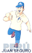 JUAN SEGURO ACEROS AREQUIPA