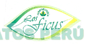 LOS FICUS HERBORISTERIA