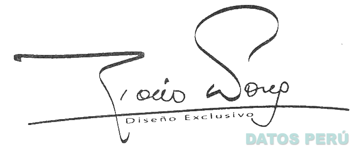 ROCIO WONG DISEÑO EXCLUSIVO