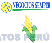 NS NEGOCIOS SEMPER