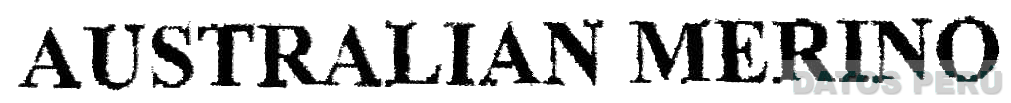 AUSTRALIAN MERINO