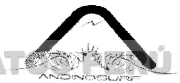 ANDINOSURF