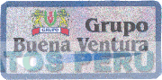 BV GRUPO BUENA VENTURA