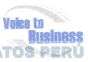 VOICE TO BUSINESS