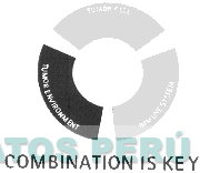 COMBINATION IS KEY TUMOR CELL TUMOR ENVIRONMENT IMMUNE SYSTEM