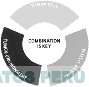 COMBINATION IS KEY TUMOR CELL TUMOR ENVIRONMENT IMMUNE SYSTEM