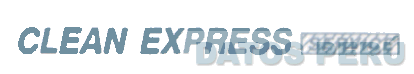 CLEAN EXPRESS SERVICE
