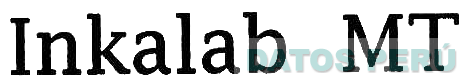 INKALAB MT