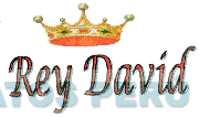 REY DAVID