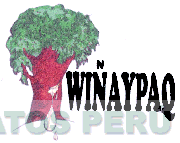 WIÑAYPAQ