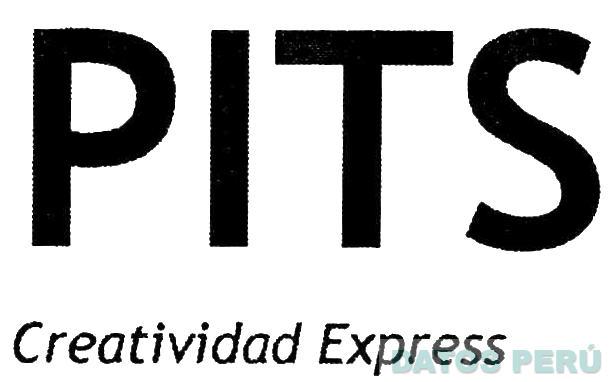 PITS CREATIVIDAD EXPRESS