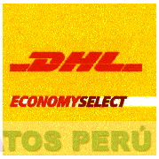 DHL ECONOMY SELECT
