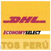 DHL ECONOMY SELECT