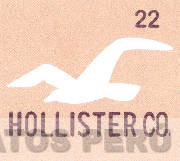 HOLLISTER CO. 22