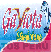 GAVIOTA CHIMBOTANA